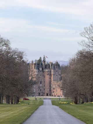 ปราสาทแกลมิสกับวัวกระทิงไฮแลนด์!