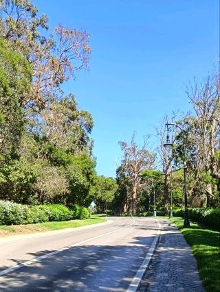 🌿 Rmilat: Tangier’s Green Escape Between Forest & Ocean