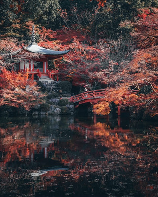 白川鄉一日遊:日本童話般的村莊🏡❄️🇯🇵