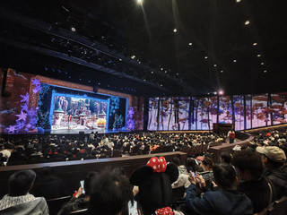 Magical Moments at Shanghai Disney Resort