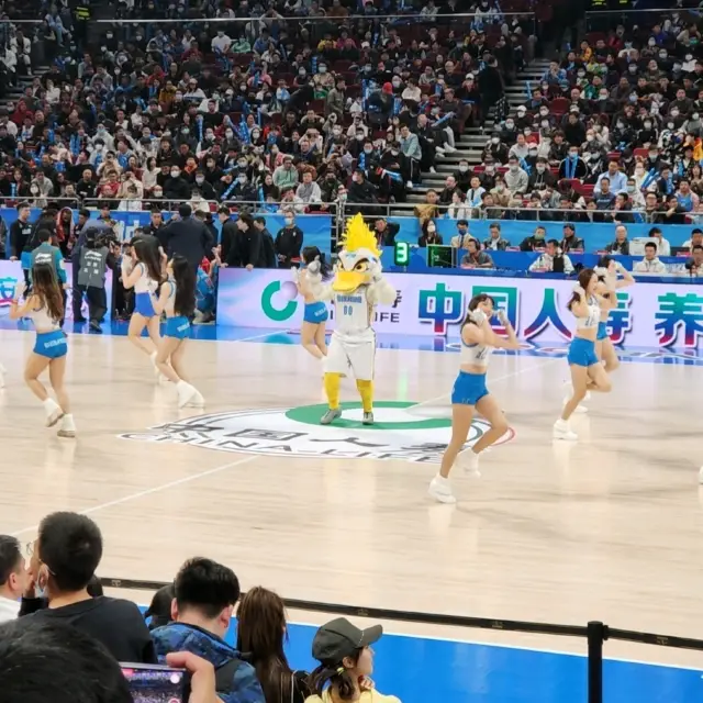 Mercedes Arena - Beijing Ducks