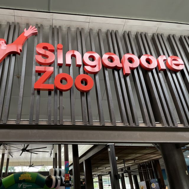 新加坡之旅🇸🇬