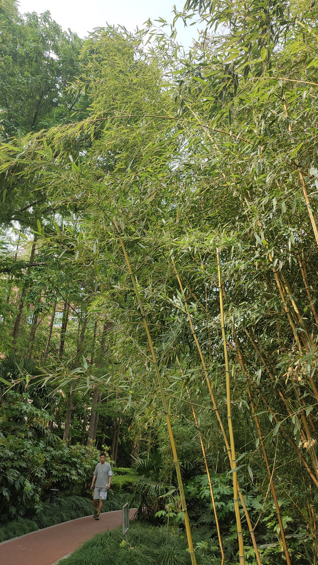 Pudong Jinqiao Park, the backyard of nearby residents, 30.