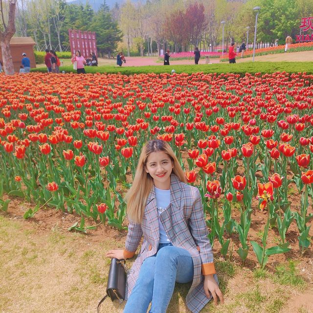Discover Yumeiren Square in Spring 🌷🌊🏞️