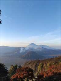 終於見到你，爪哇火山