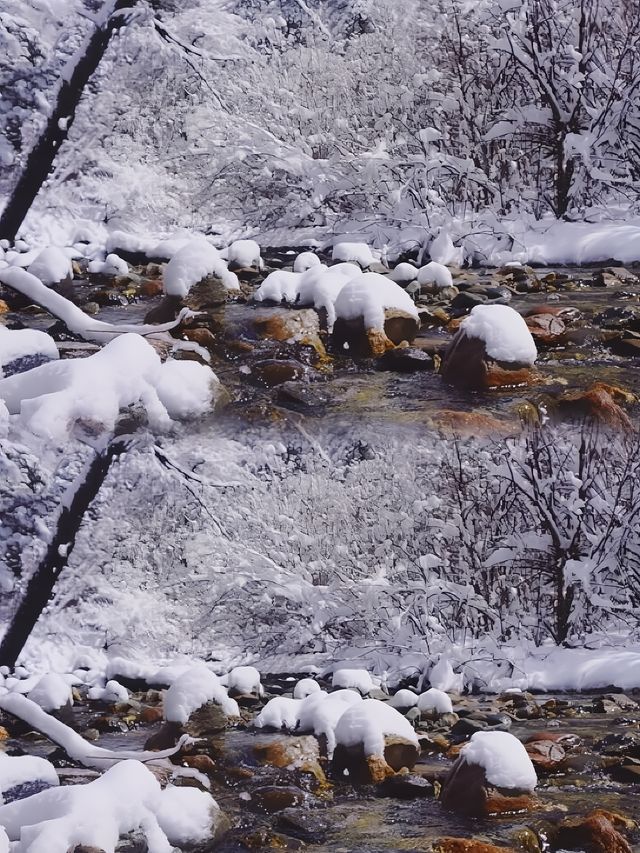 雪域奇美景，四姑娘山雙橋溝驚艷登場！