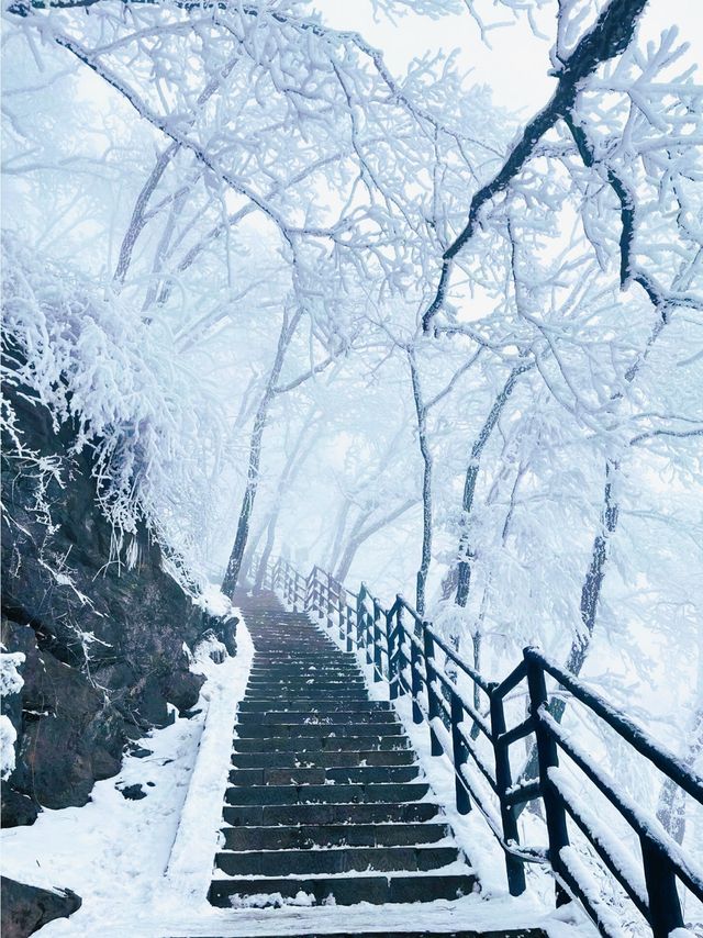 被朋友罵瘋了！為了霧凇雪景去了趟郴州！