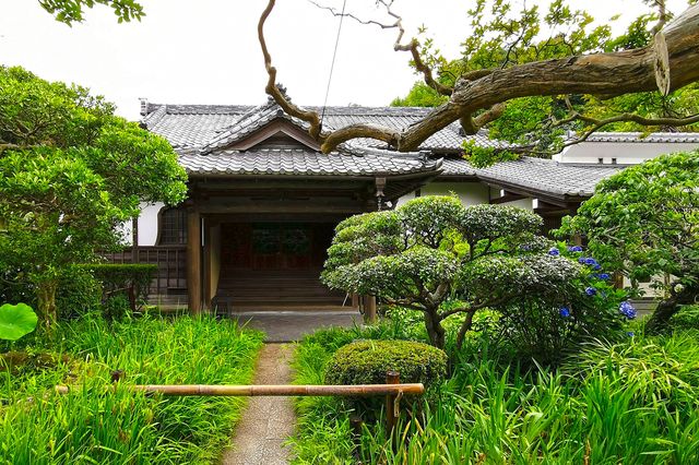 鎌倉市與鎌倉大佛:歷史的瑰寶與文化的象徵 鎌倉市與鎌倉大佛:歷史的瑰寶與文化的象徵