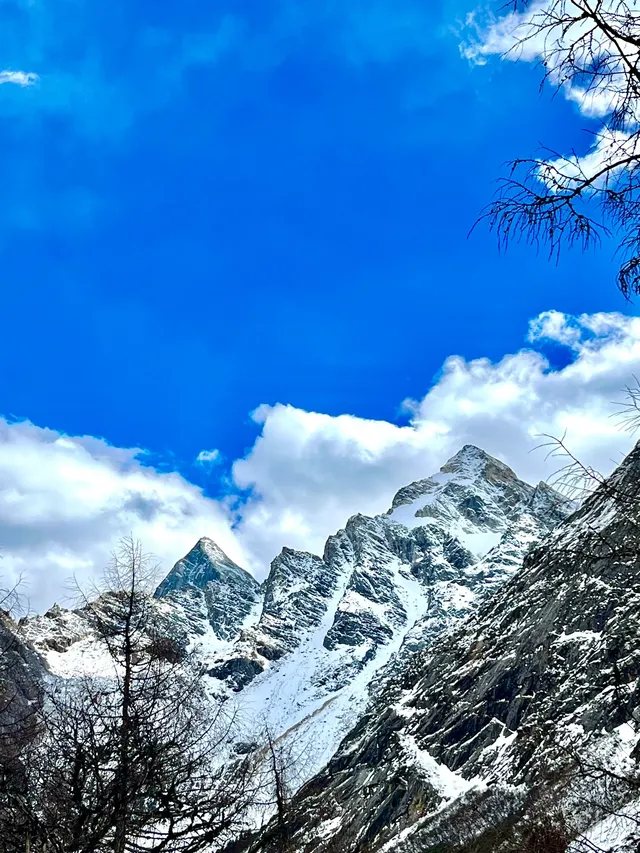 川西畢棚溝聽說雪山可以治癒一切