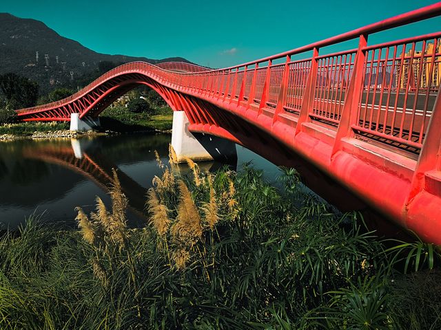 元旦假期不知道去哪玩？福州旗山湖公園是不錯的選擇！