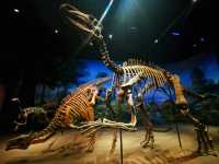 你見過破殼的恐龍蛋化石嗎？