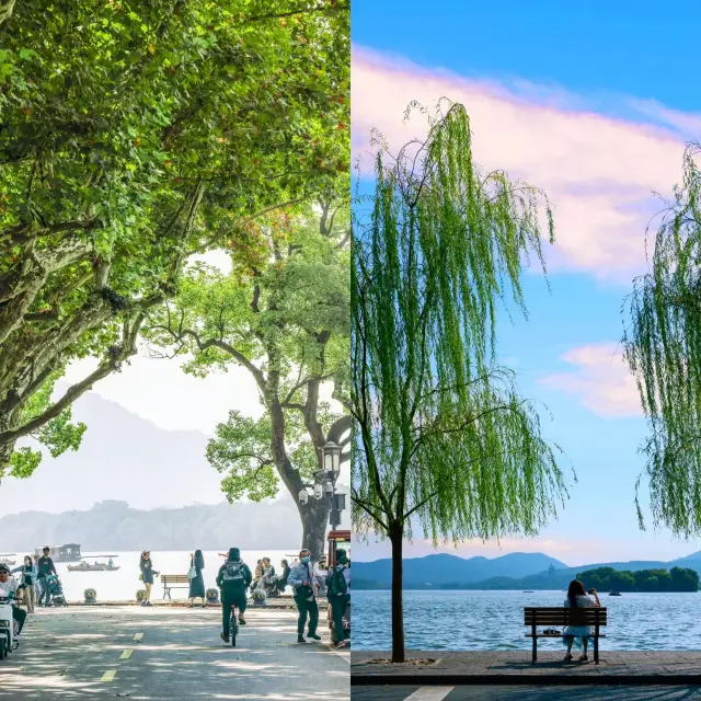 【Hangzhou In-depth Tour Guide】Exploring the perfect fusion of history and nature