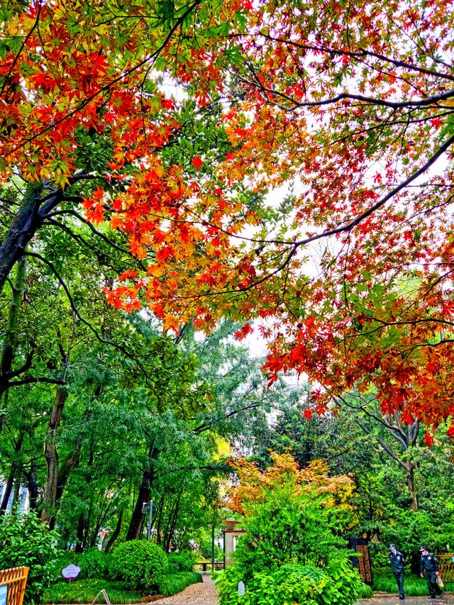 光啟公園與徐光啟 光啟公園與徐光啟