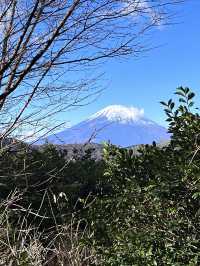 箱根二日遊~和媽媽的日本之旅