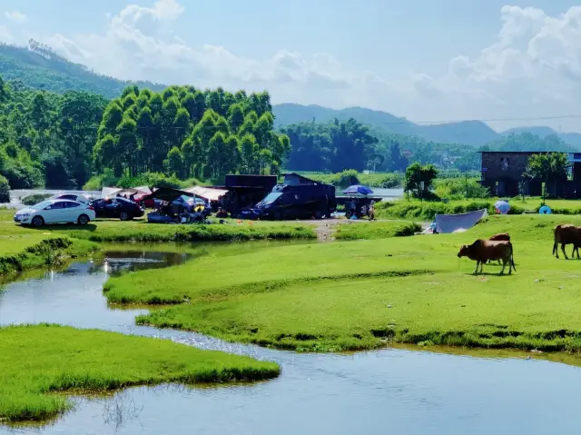 난닝 주변 | 드문 카르스트 지형 캠핑장 | 춘셰리