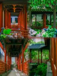 深圳“小蘇州”，藏在市中心的隱世園林！