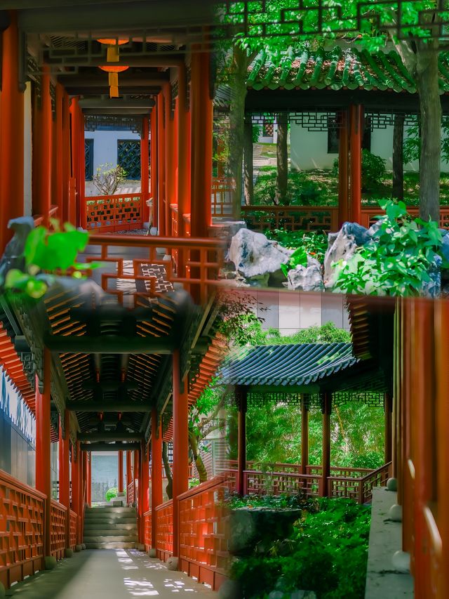 深圳“小蘇州”，藏在市中心的隱世園林！