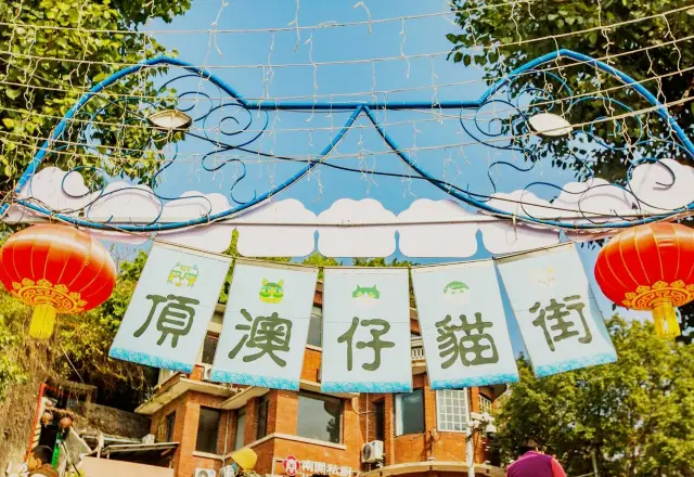 There is a pedestrian street named after "cat" in Xiamen, which is warm and romantic