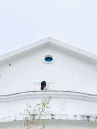 春節去哪兒