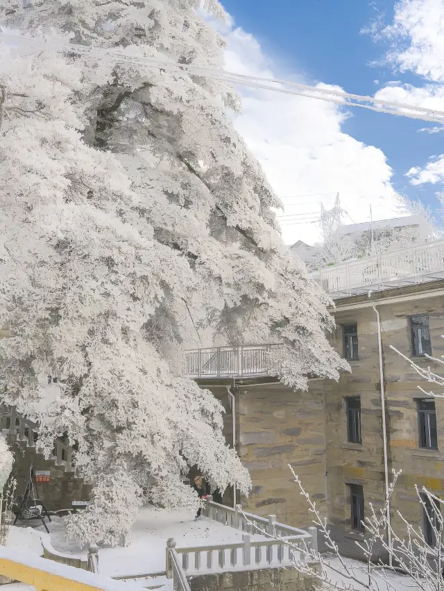 第一次來廬山賞雪！看這篇就夠了！超全