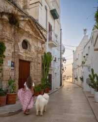 🐻‍❄️ Knock knock! Someone's home in Puglia, Italy - and it's amazing! 🌊🌸🏖️