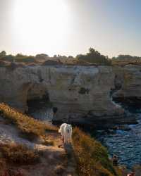 🐻‍❄️ Knock knock! Someone's home in Puglia, Italy - and it's amazing! 🌊🌸🏖️