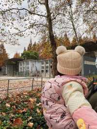 上海動物園保姆級旅遊攻略，看這篇就夠了！