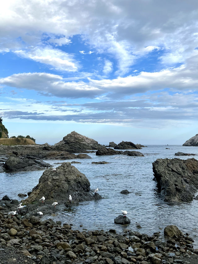 新西蘭南島，極限運動與慢節奏度假的理想國