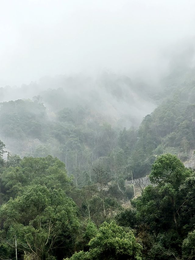 雲霧繚繞北雁蕩   仙俠意趣撲面來