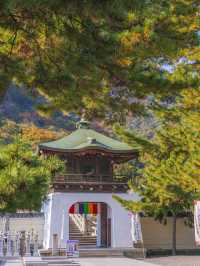 高松旅行善通寺