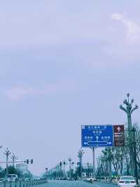 崇州重慶路油菜花黃了 | 成都春日賞花攻略