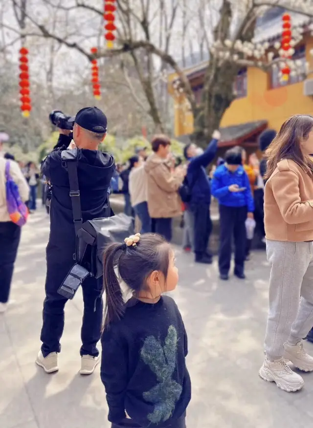 Spring is in the air—the magnolias at Hangzhou's Faxi Temple are in bloom