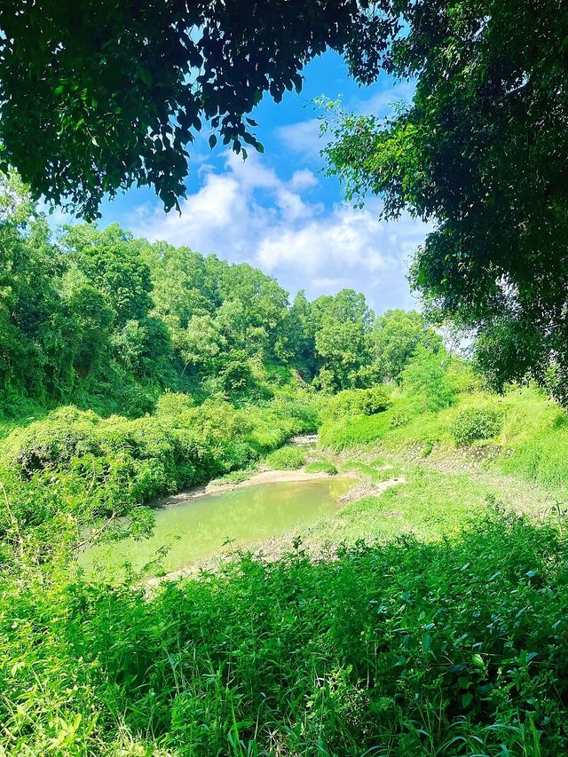 在這個公園裡能玩一下午……