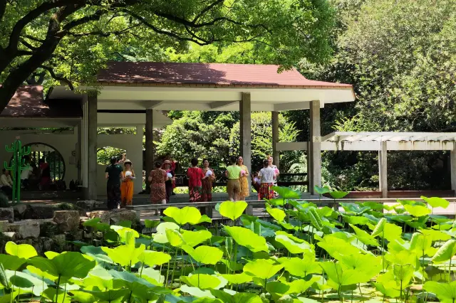 上海人民公園，傳說中的相親角呢？