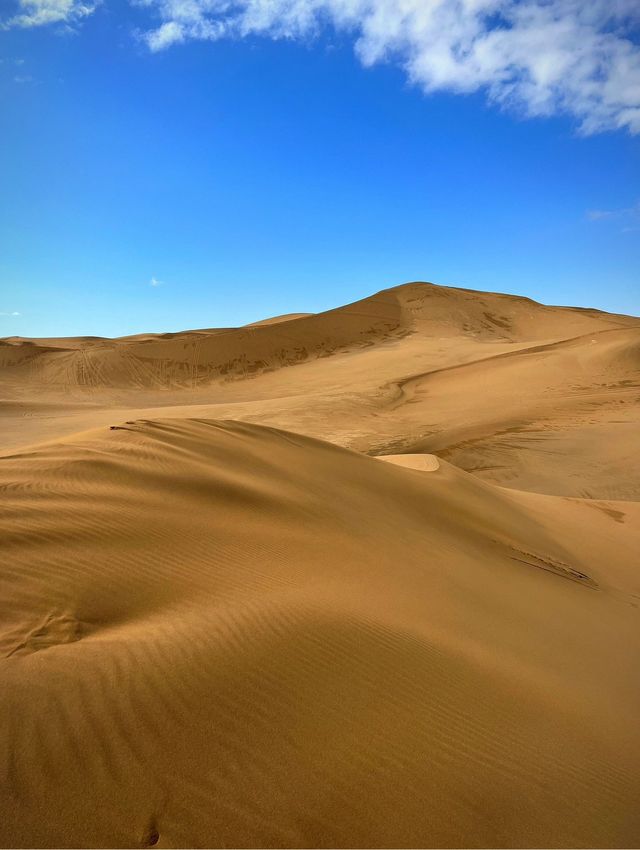 吐鲁番庫木塔格沙漠|你喜歡黃金的顏色嗎？