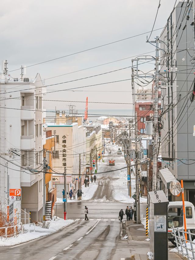 來日本小樽旅行必知的5件事！