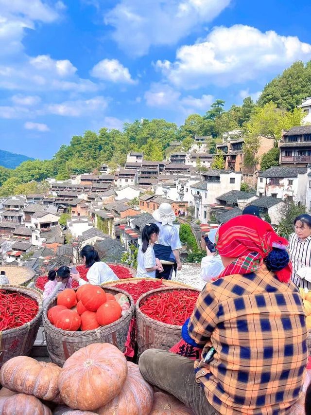 婺源：油菜花海與篁嶺曬秋的詩意交響