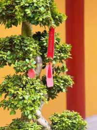 春日宜祈福｜去蟠龍天地只知道逛吃？這座千年古寺才是真寶藏！