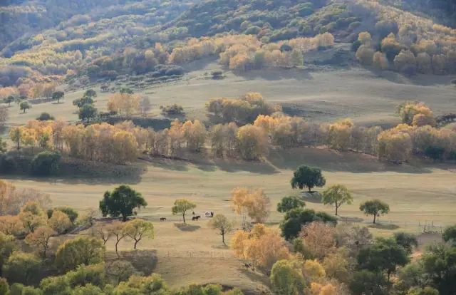 Having grasped the vastness of the universe, I still cherish the greenery of plants and trees