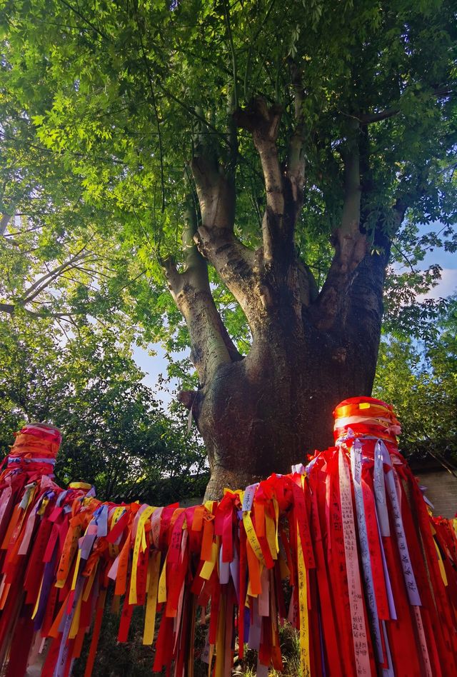 岭南四大名園之餘蔭山房