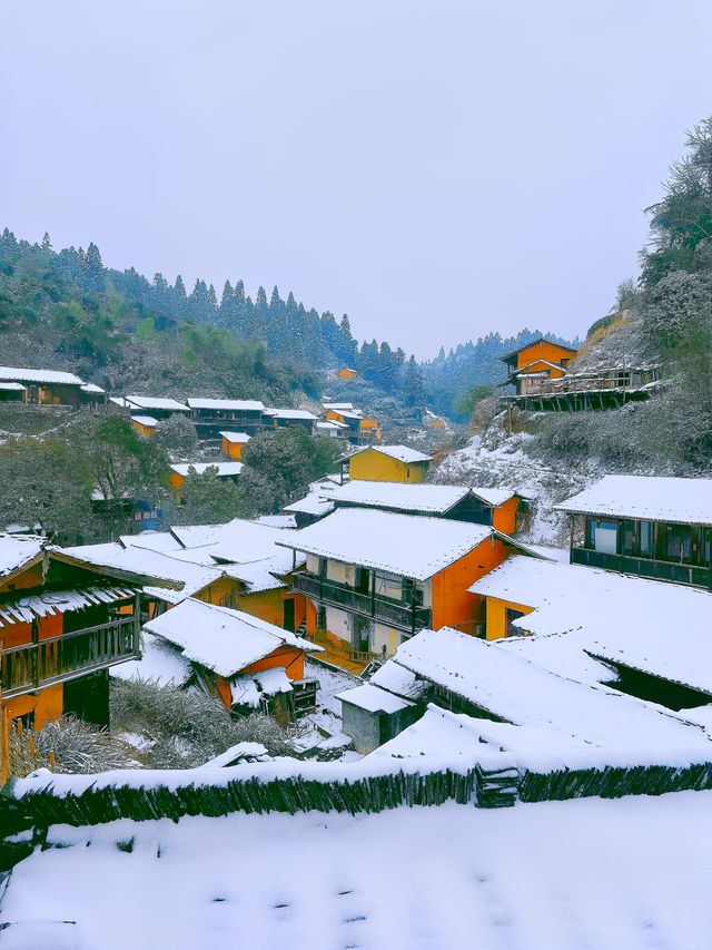 龍岩的!!最美雪景養在這!!不接受反駁!!