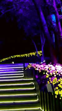三明麒麟山公園！真的好美！不來可別後悔？？？