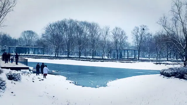 下雪了，來鄭州看“海”吧