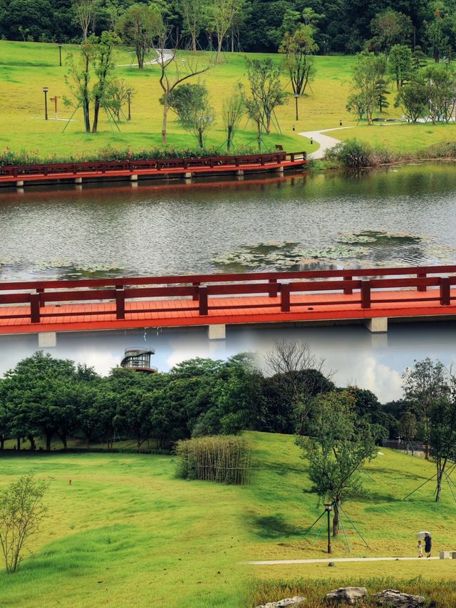 遛娃好去處，城市“綠肺”丨金鐘湖水庫