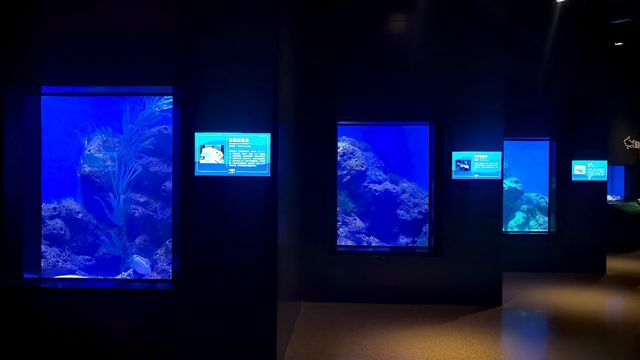 逛商場逛出一個海洋館 逛商場逛出一個海洋館
