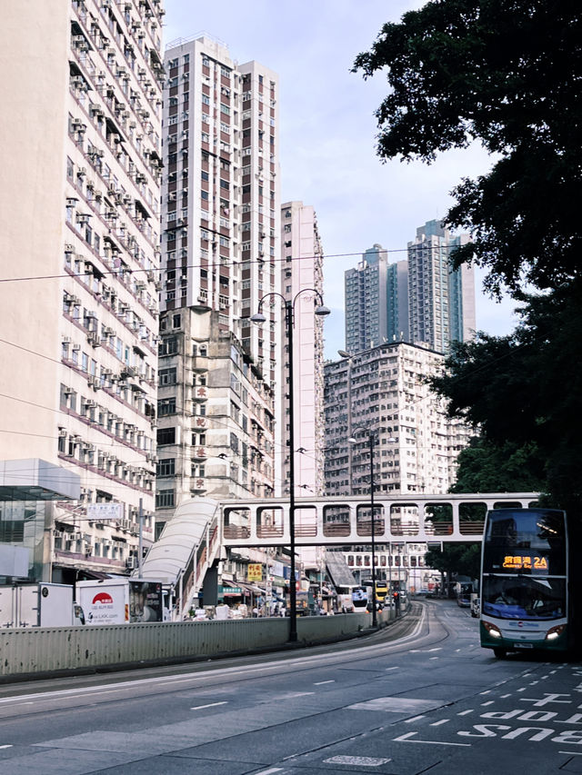 香港的潛力實在太巨大了