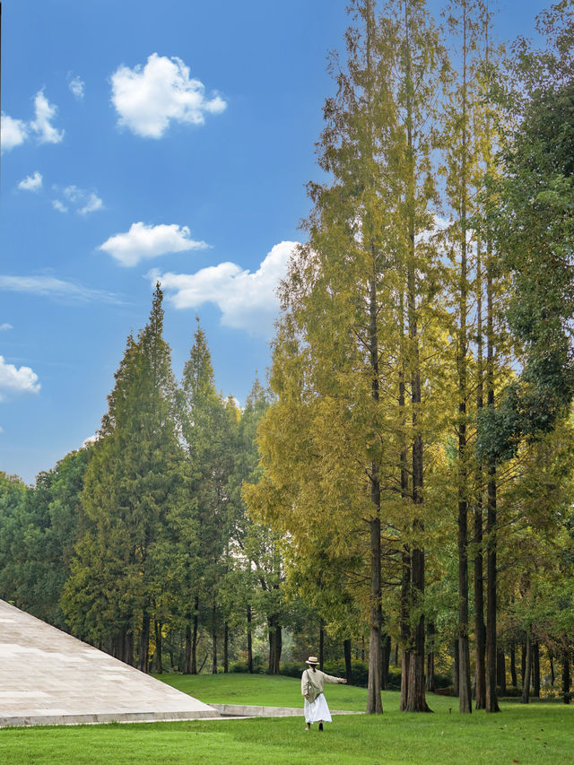 Visit Chengdu! The Jinsha Site is a must-see! Only leave after you've toured it...