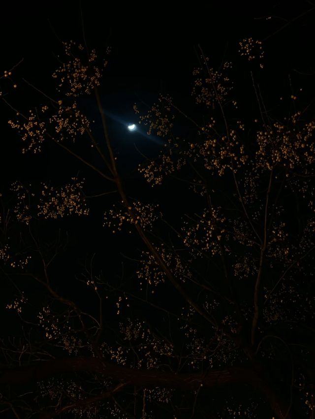 夜遊書聖故里｜感受挑燈夜讀氣氛，沾沾聖賢之氣