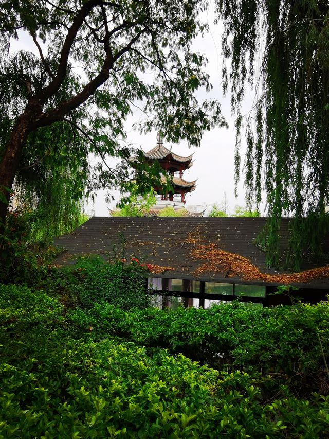 擁有歷史文化底蘊的昆明蓮花池公園