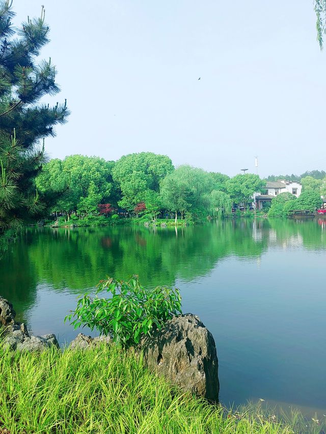 華東最大植物園，林田相依、湖岸美景交融